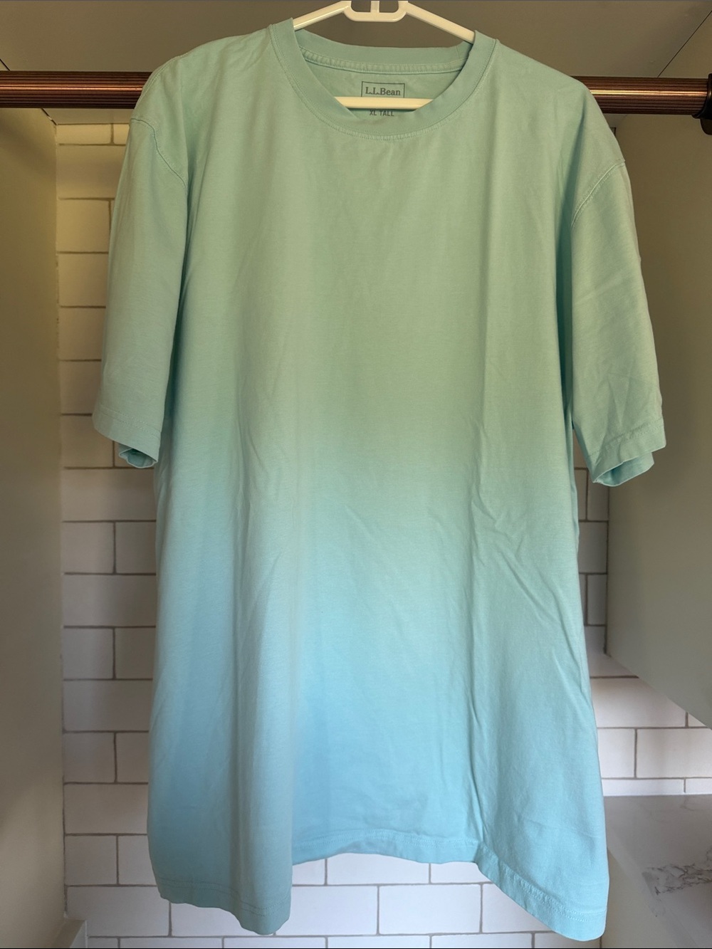 L.L. Bean Men’s Unshrinkable T-Shirt Pale Blue